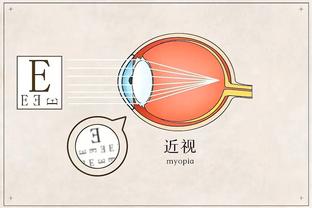 半岛平台官方网站入口下载截图3